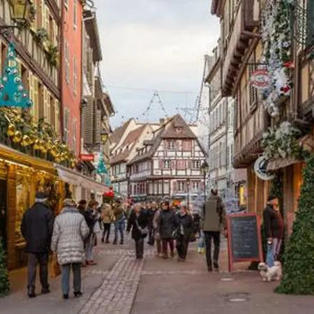 Hyper Centre 10 Pers * 콜마